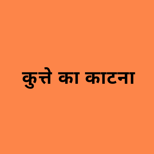 'कुत्ते का काटना' शब्द दर्शाने वाली छवि।