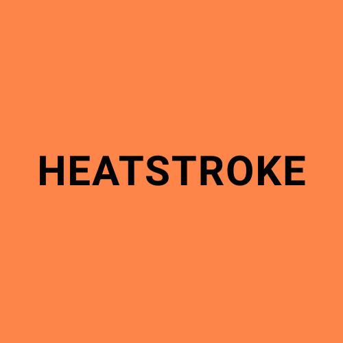Image showing the word "Heatstroke".