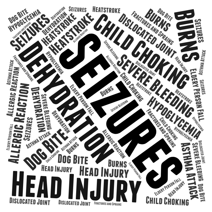 A word cloud image listing various medical emergencies.